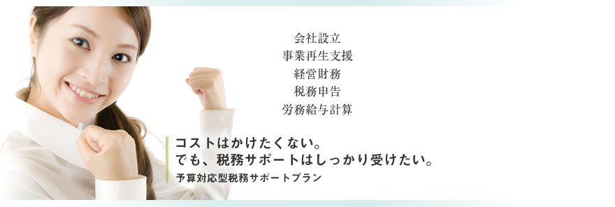 コストはかけたくない。予算対応型税務サポート